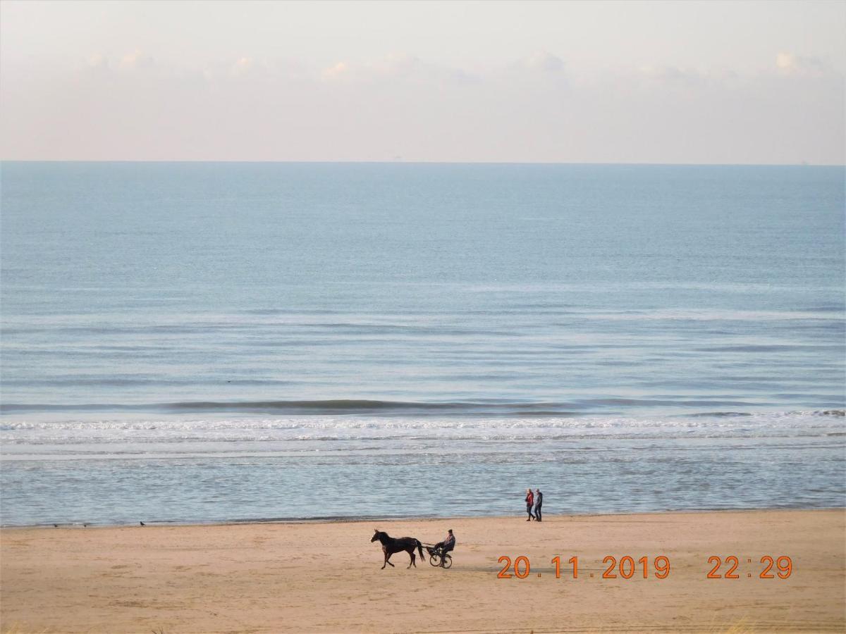 Strandhuis Egmond aan Zee Dış mekan fotoğraf